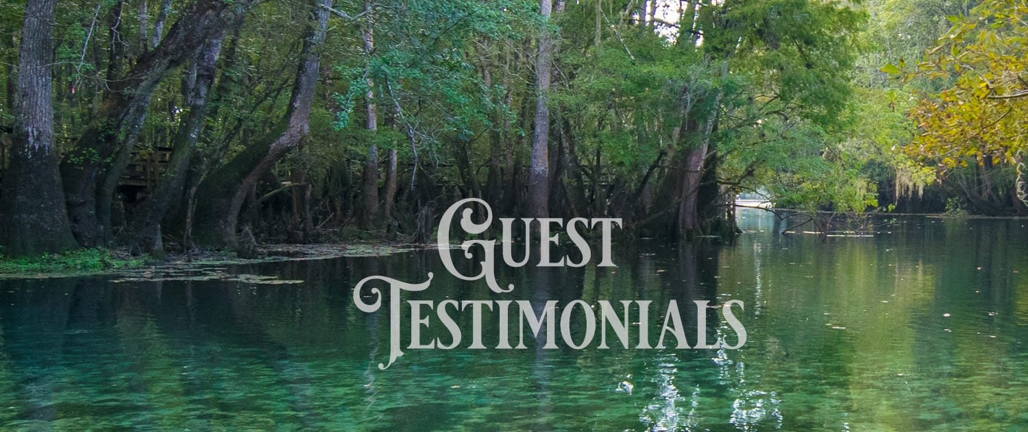 Guest Testimonials